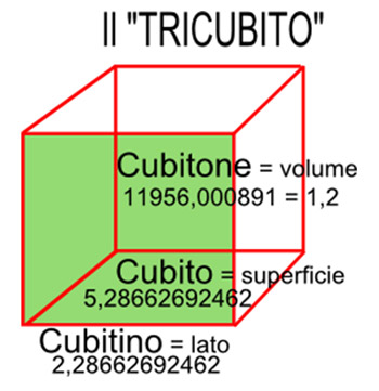 Tricubito